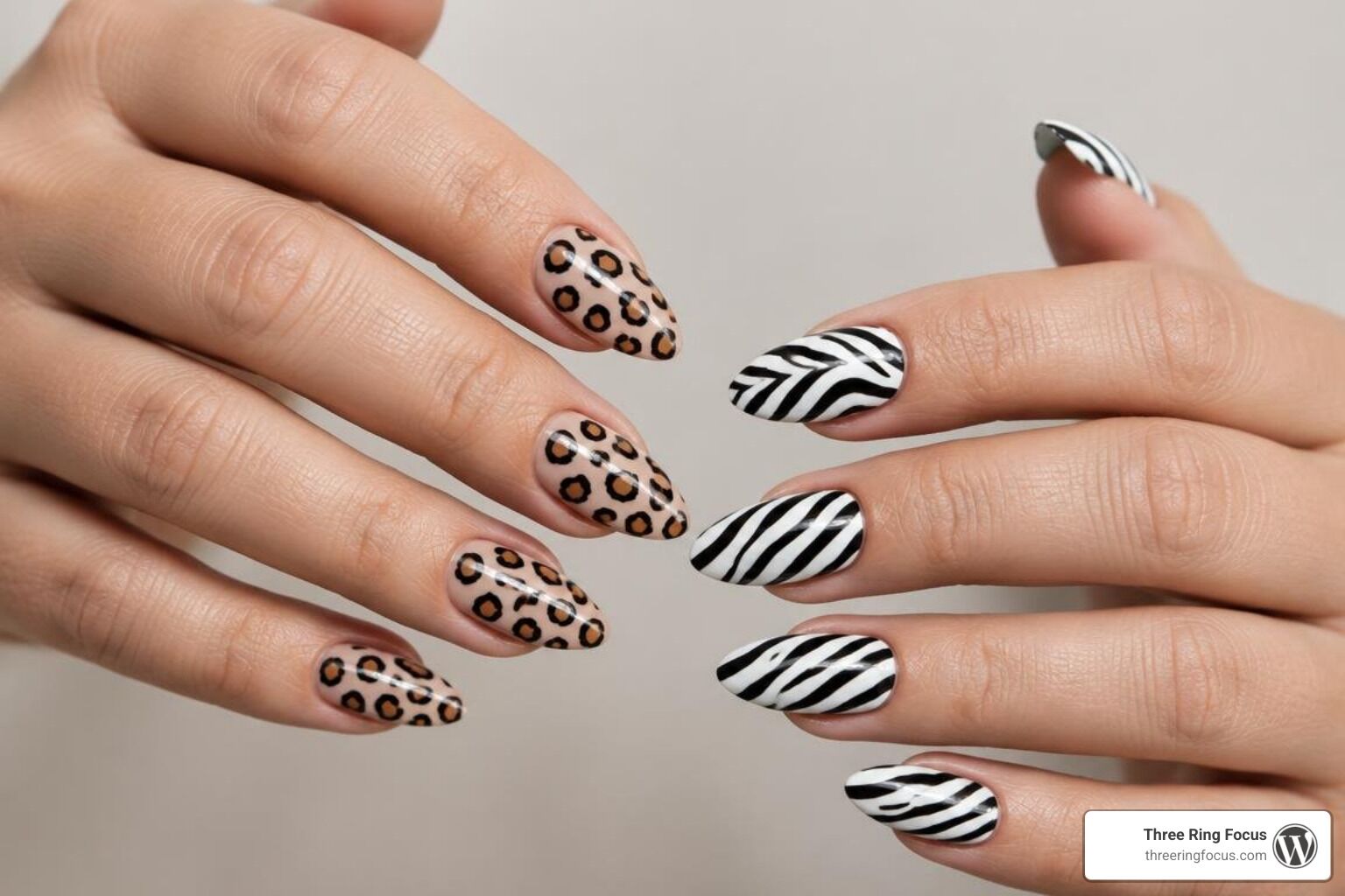 Nail Design Animal Print: Wild 2026 Styles : Three Ring Focus